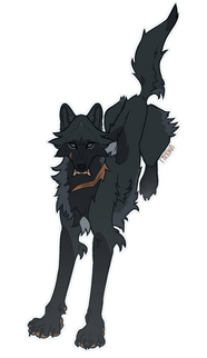 fullbody