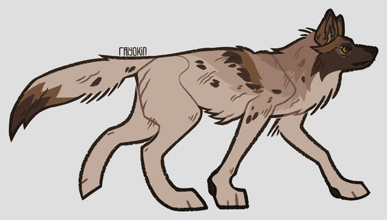 fullbody